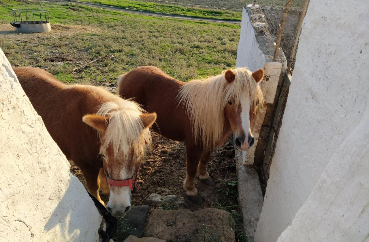 Casa Rural Bini Aumaia Es Mercadal Exterior foto